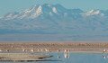 Lagunas Altiplanicas - Atacama desert, Chile