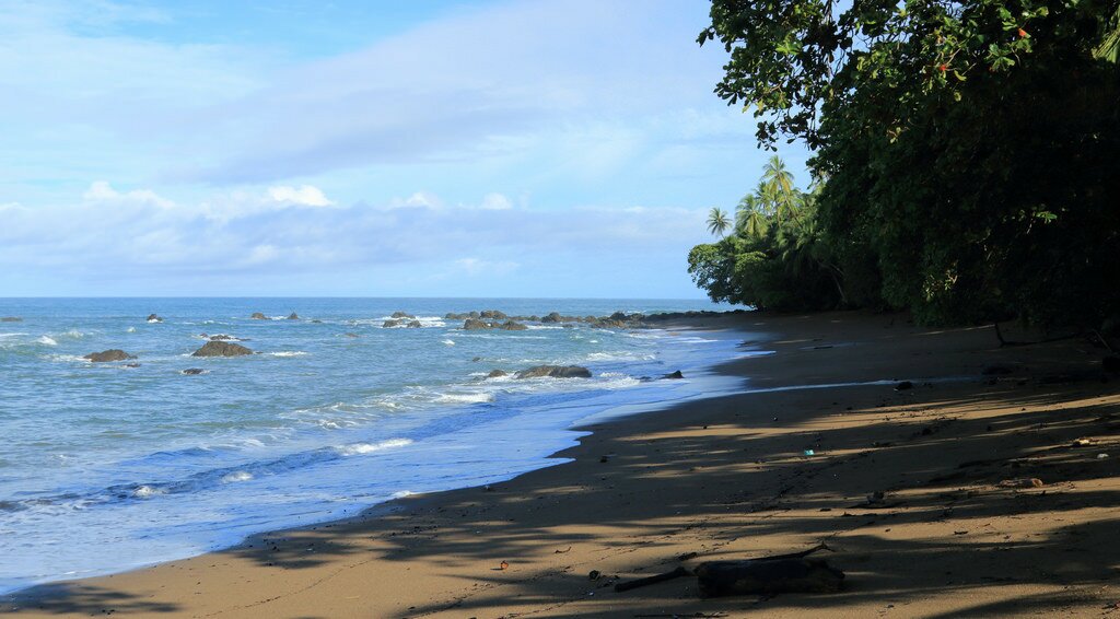 Beach in Corcovado National Park