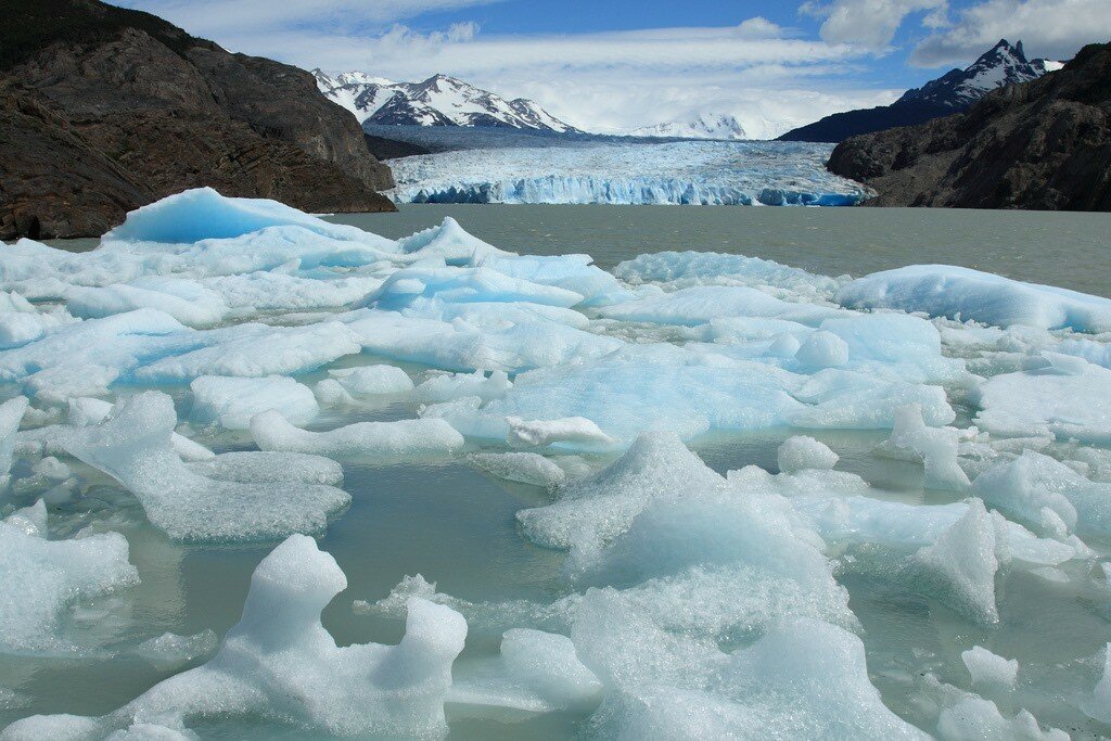 Icebergs in Lago Grey