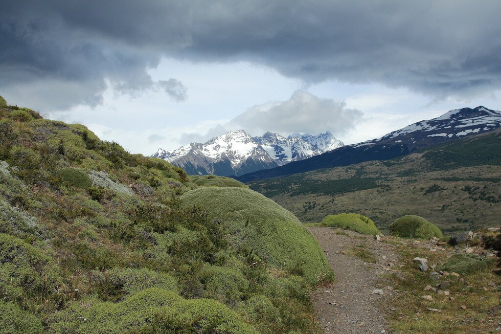 Path towards Dickson, Torres del Paine
